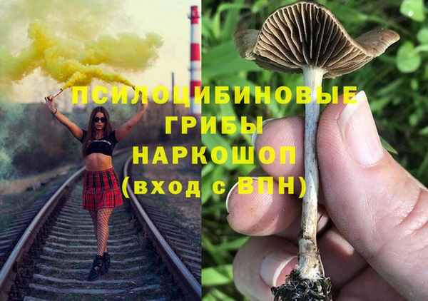 дурь Абинск