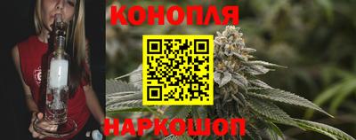 СК Дубна
