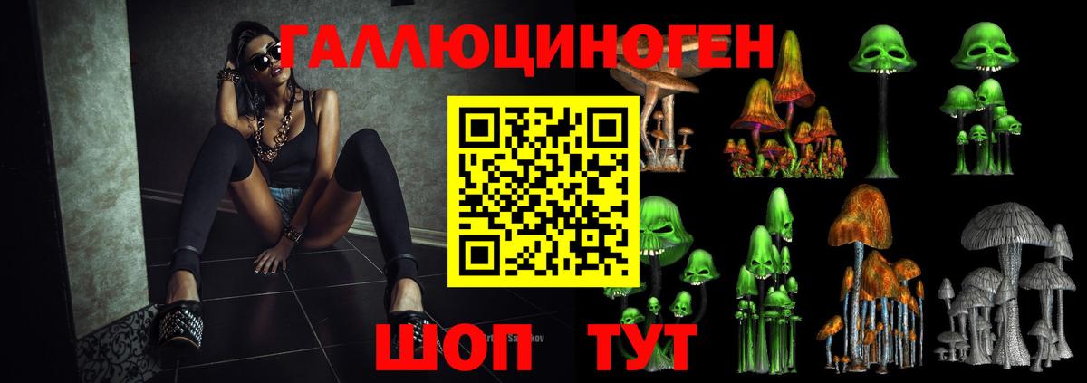Галлюциногенные грибы MAGIC MUSHROOMS  Вход с VPN  Назрань 