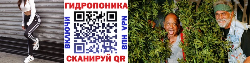 shop состав  Назрань  Бошки марихуана семена 